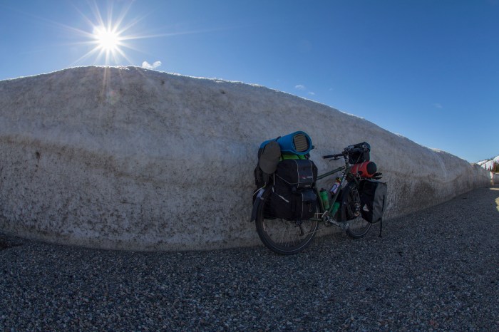 IMG_9048Skag to White jpg's