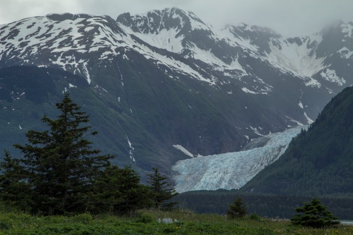 Seduction Point Trail_2