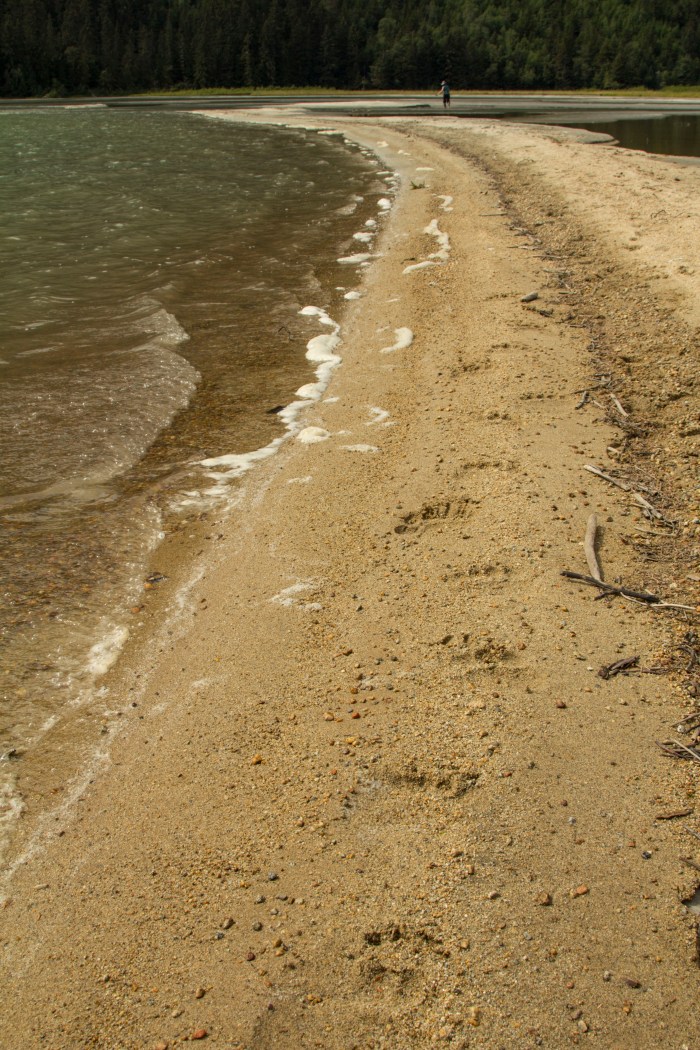Chilkoot Lake