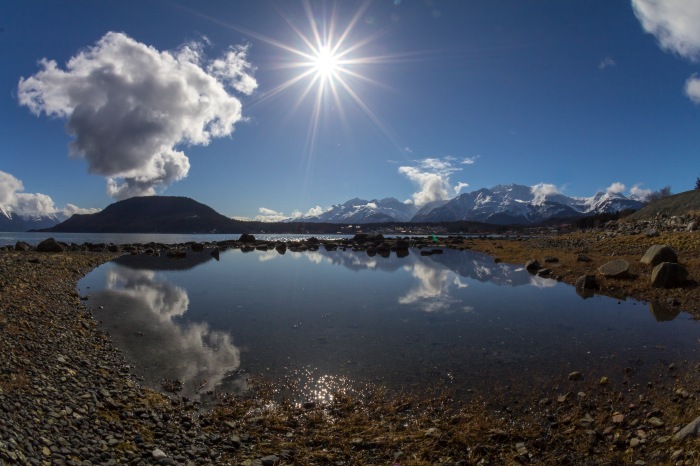 Lynn Canal Near Haines Bright Spring Sun Reflection