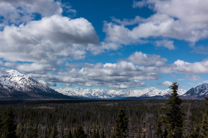 Kluane-2