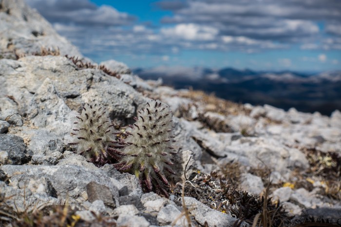 Leaving Haines-00584
