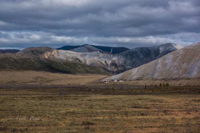 Leaving Haines-07787