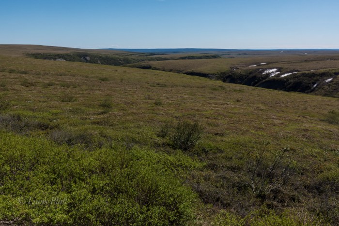 Leaving Haines-07948
