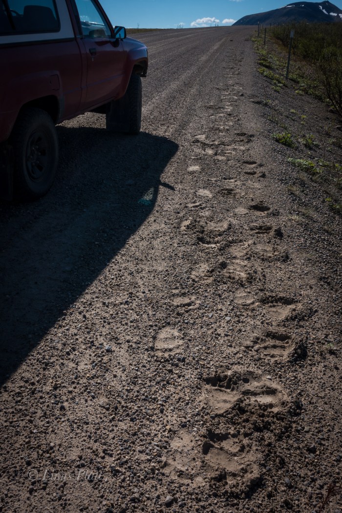 Leaving Haines-07952