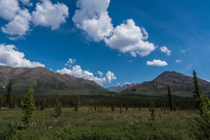 TOW-Nabesna-FB-02742