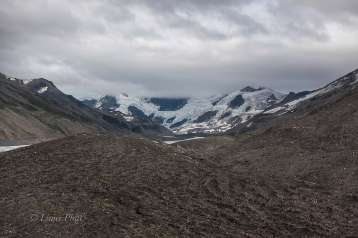 White Princess-Delta Mountains-22