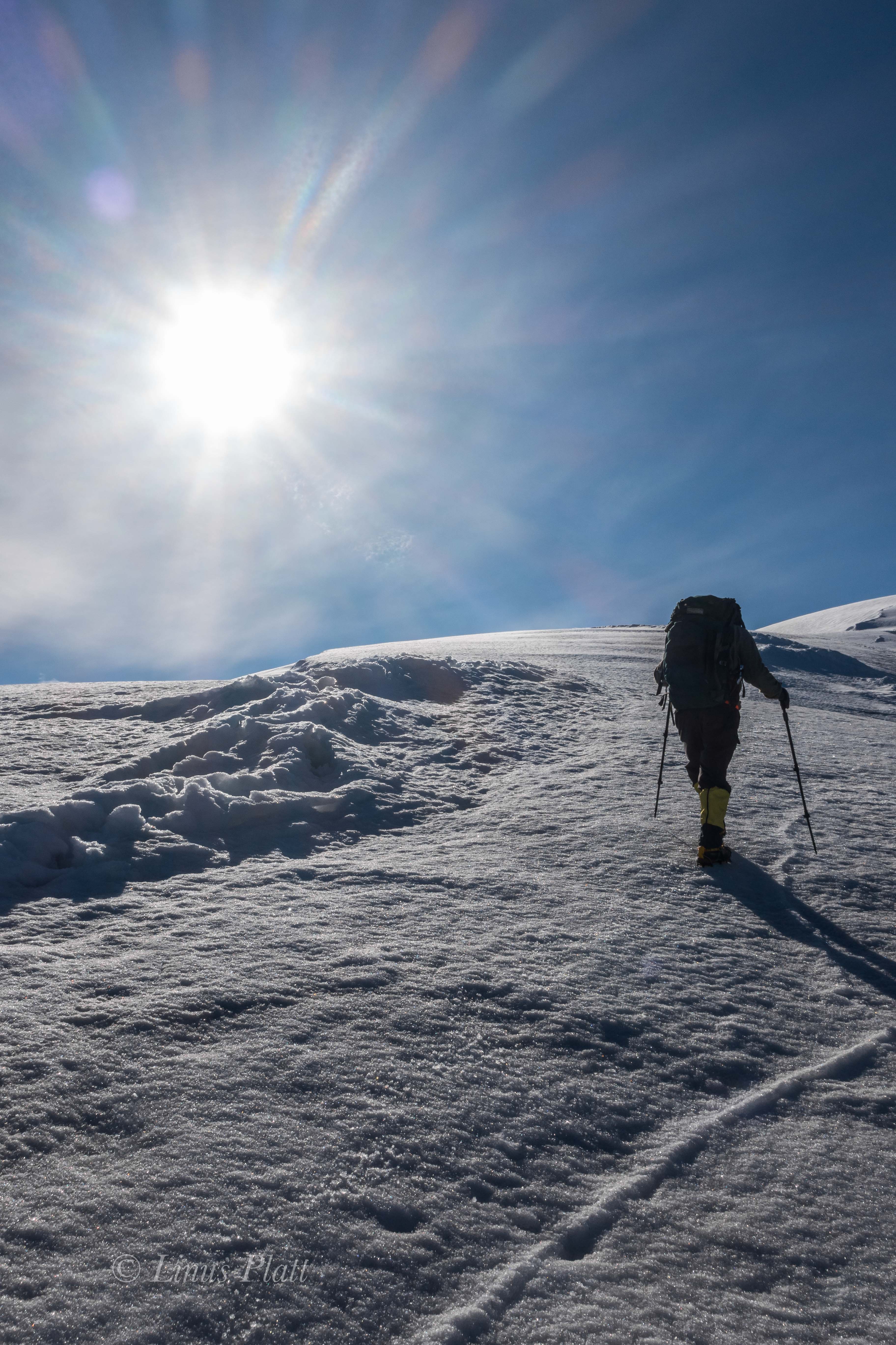 White Princess-Delta Mountains-73