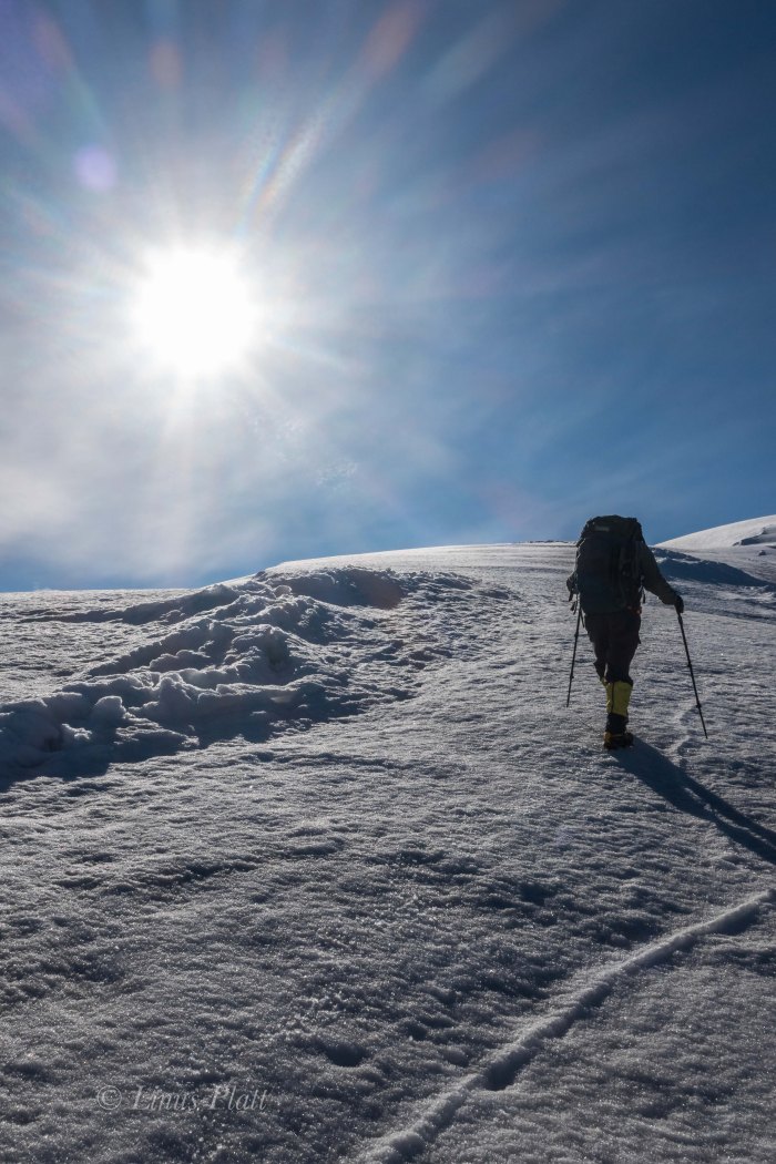 White Princess-Delta Mountains-73