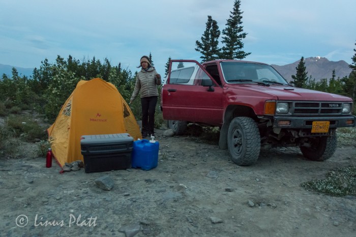 DSC01854Mt Archibald