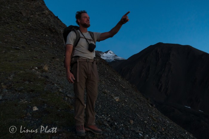 DSC01951Mt Archibald