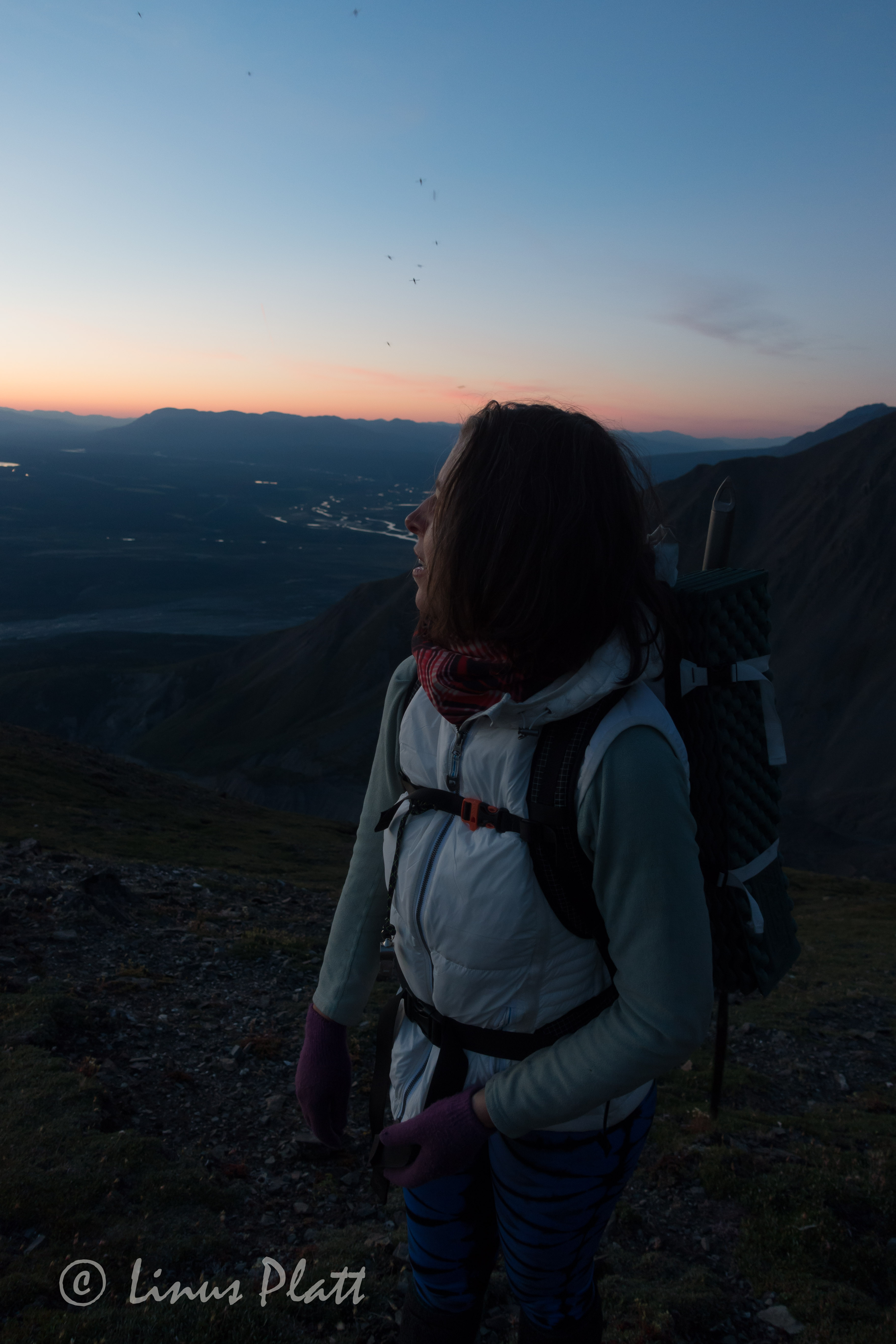 DSC01955Mt Archibald