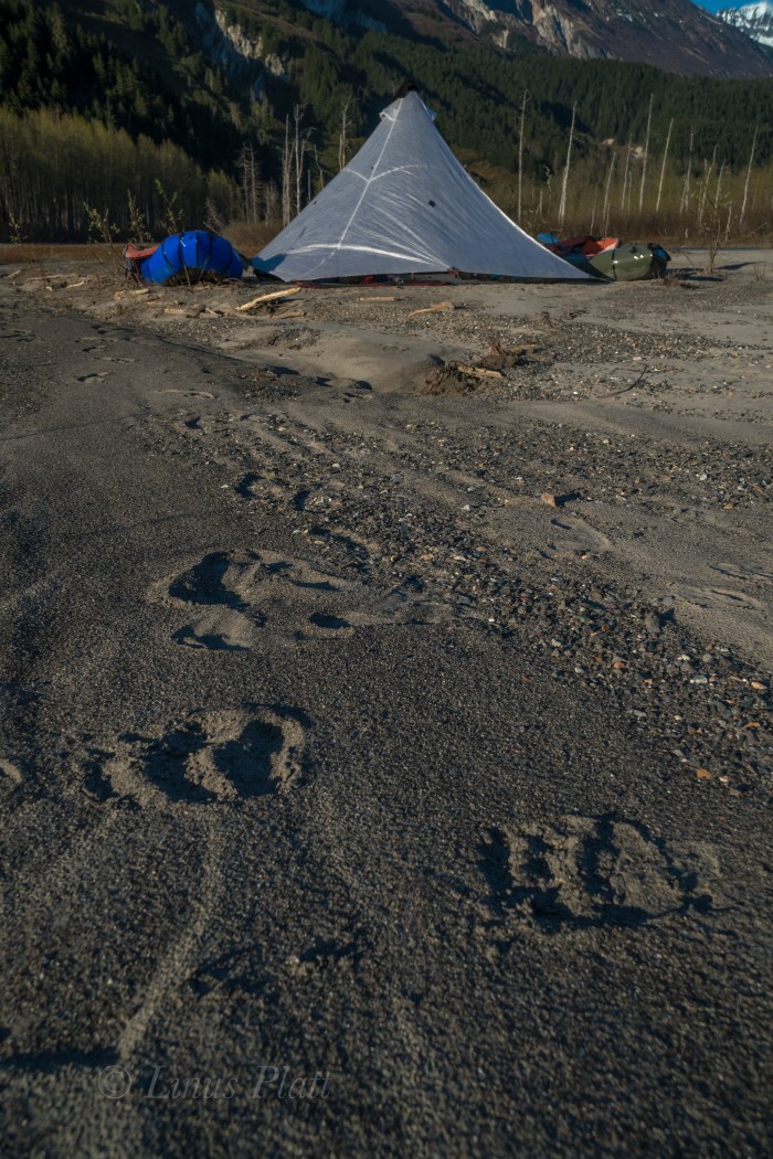 Takhin River 2018-43