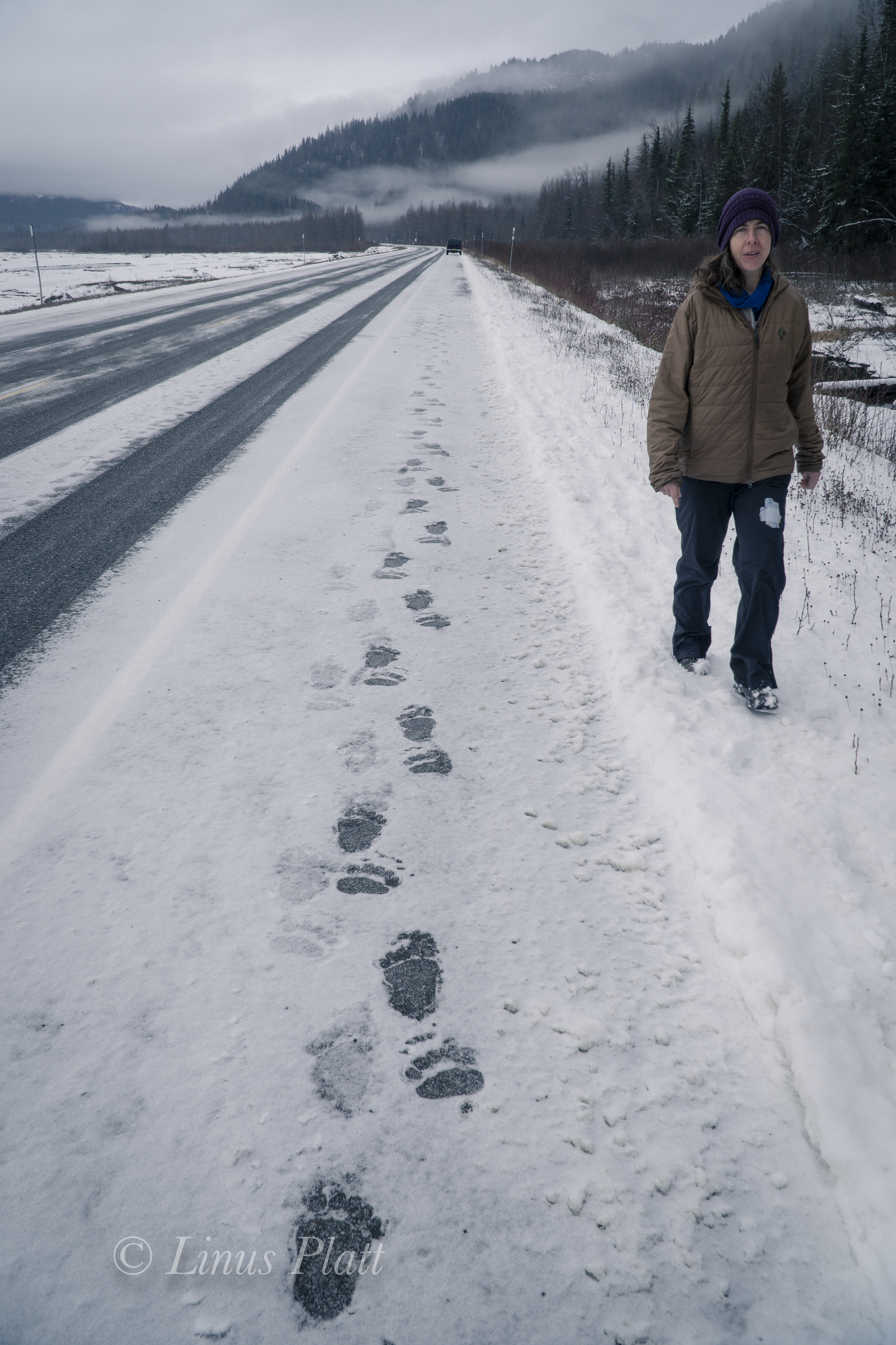 Northern BC Canyon-2