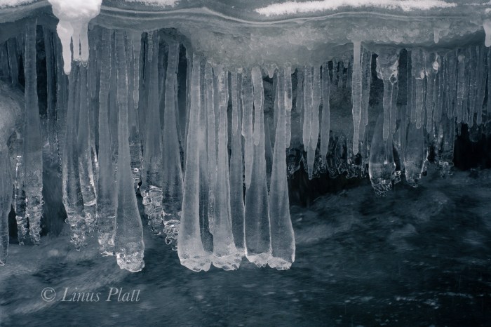 Northern BC Canyon-7