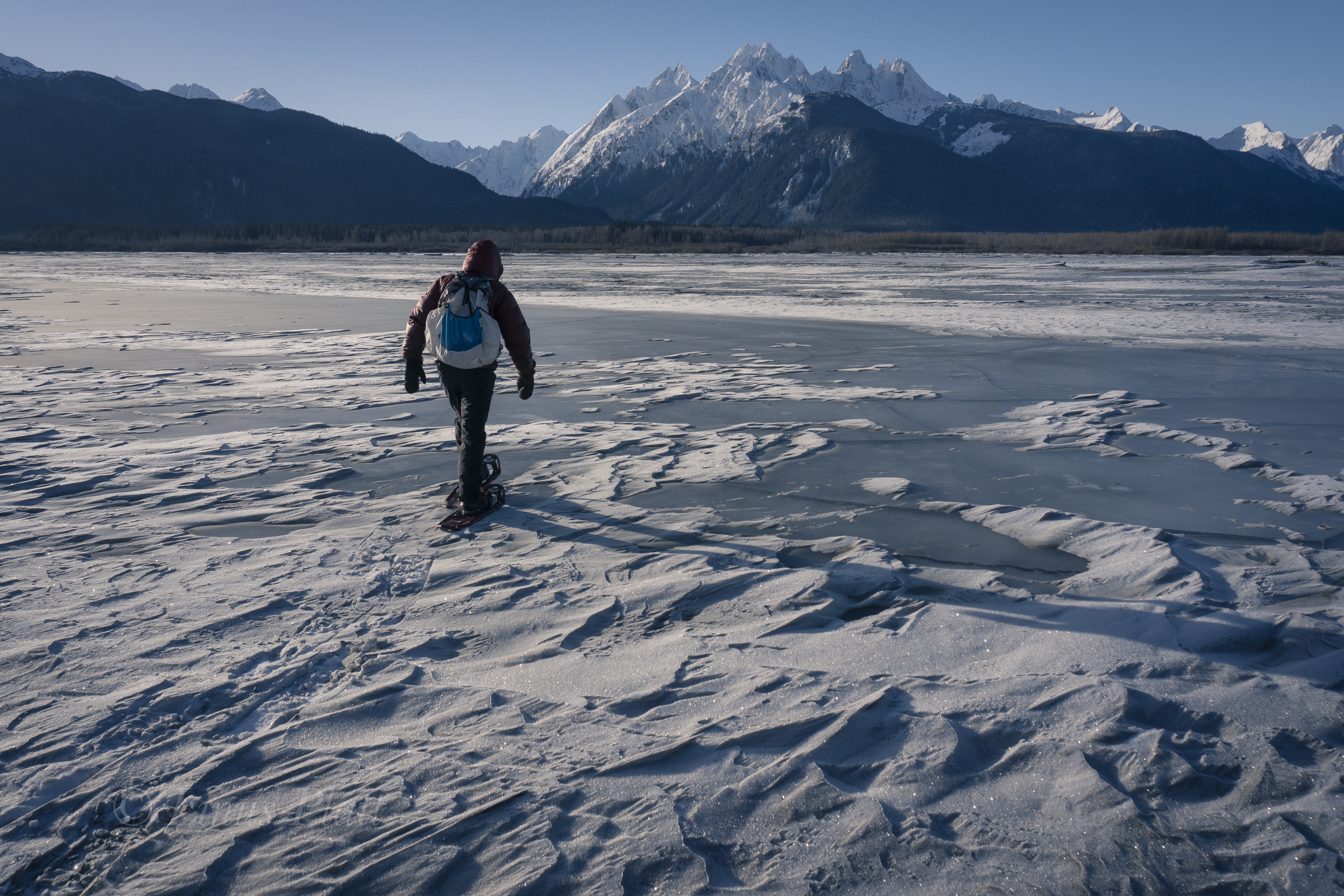 Kicking Horse Snowshoe-1