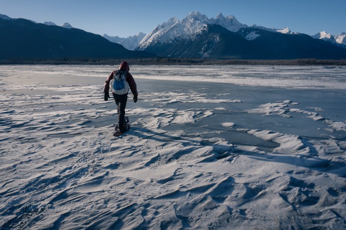 Kicking Horse Snowshoe-1