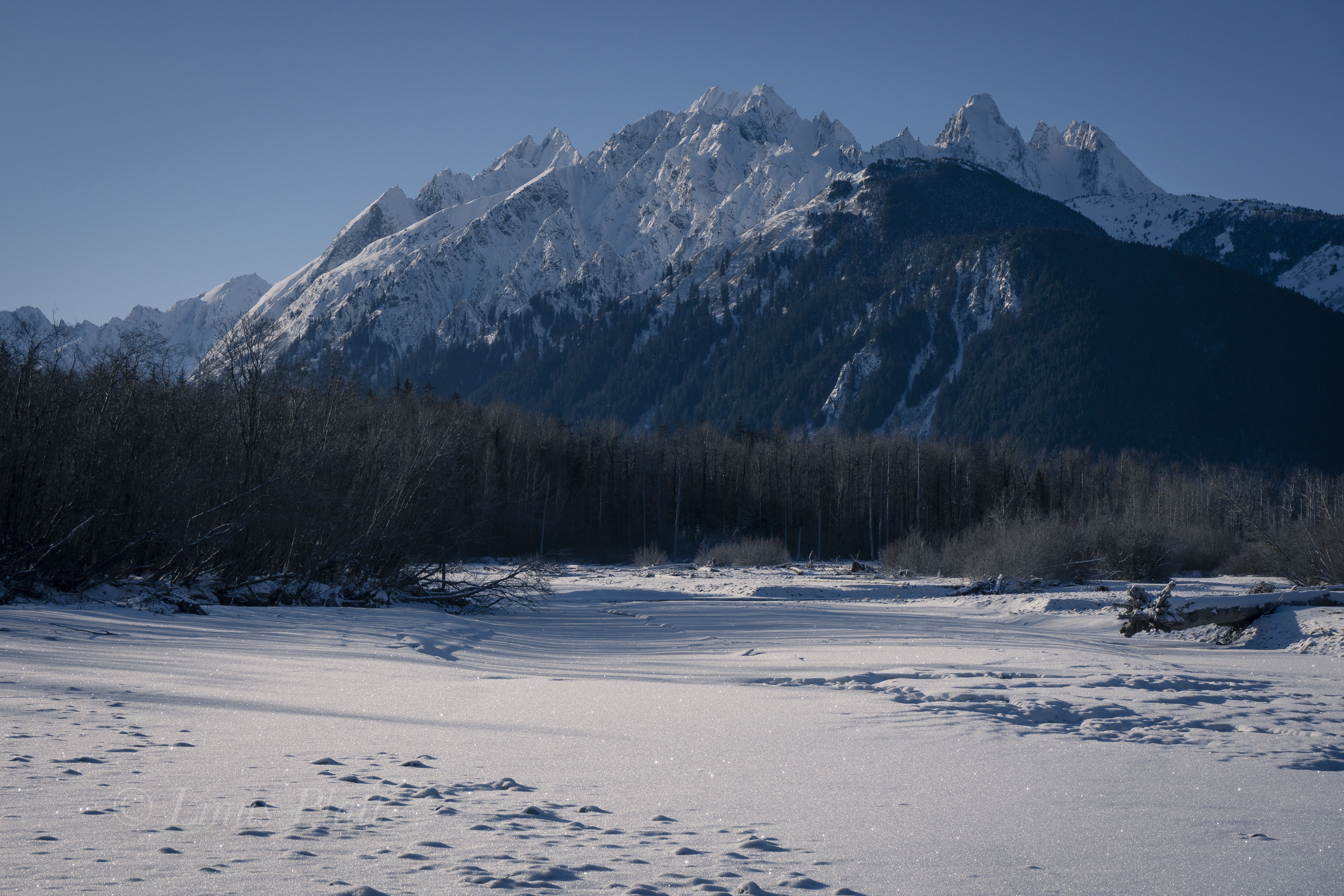Kicking Horse Snowshoe-2