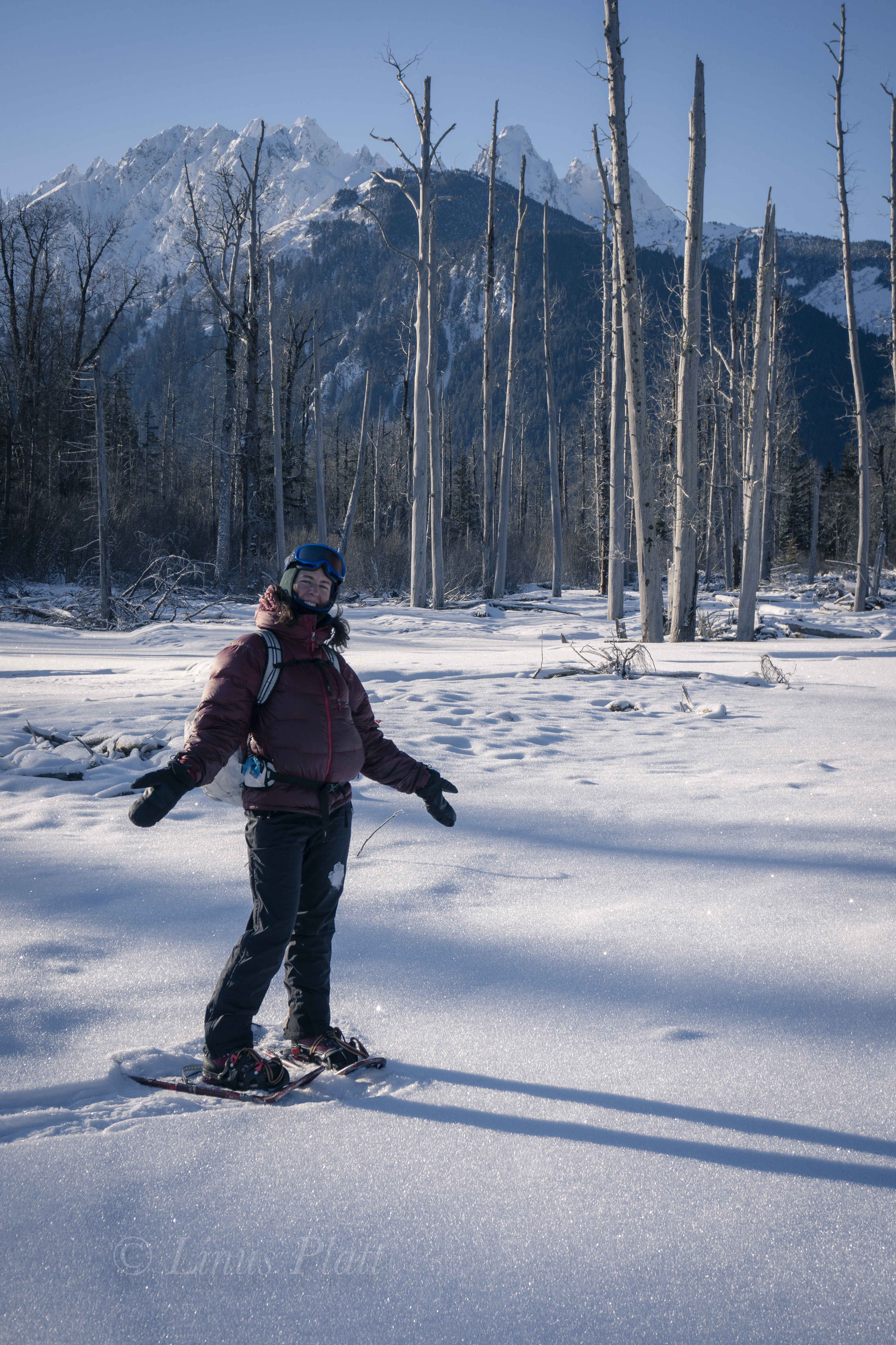 Kicking Horse Snowshoe-5