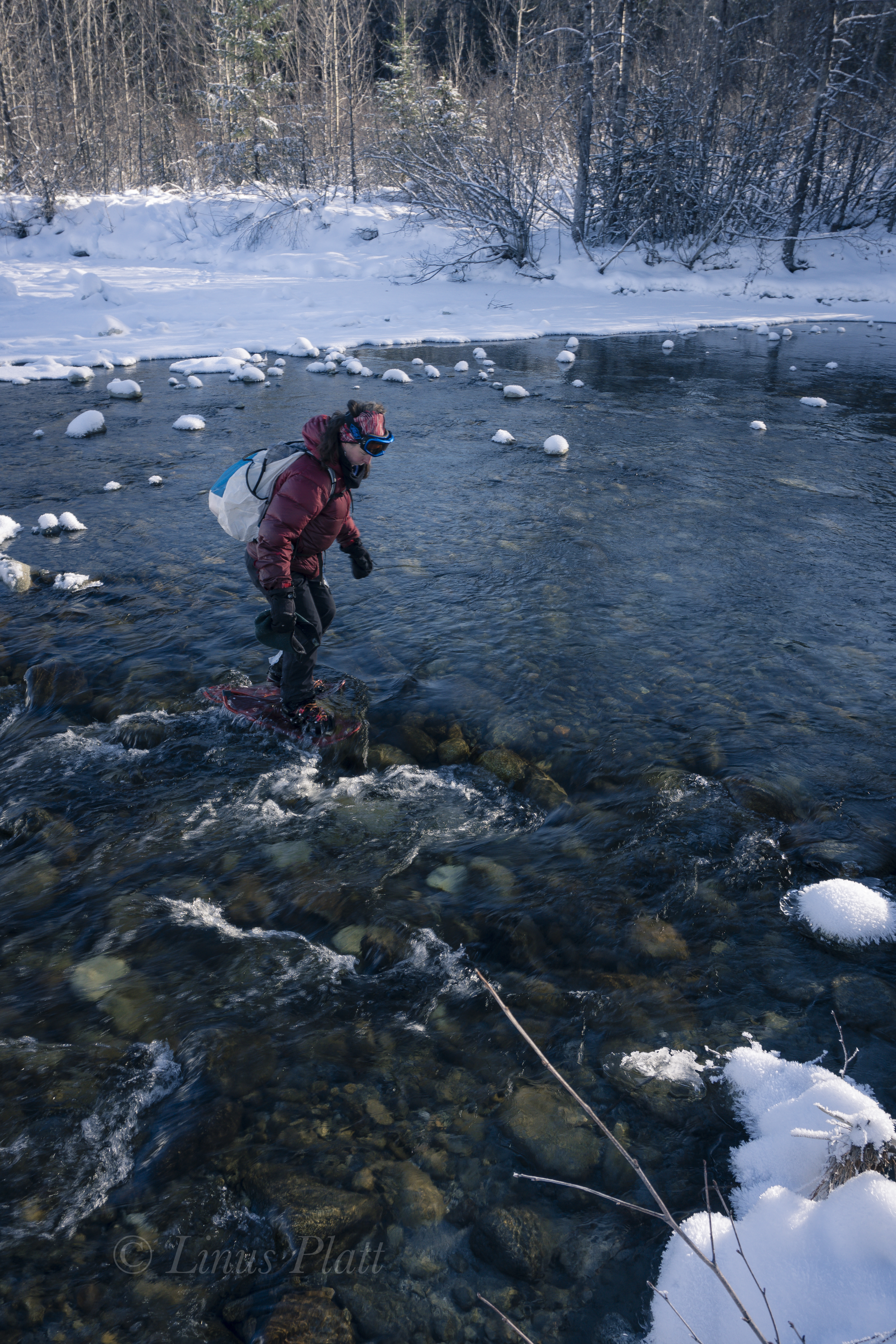 Kicking Horse Snowshoe-8