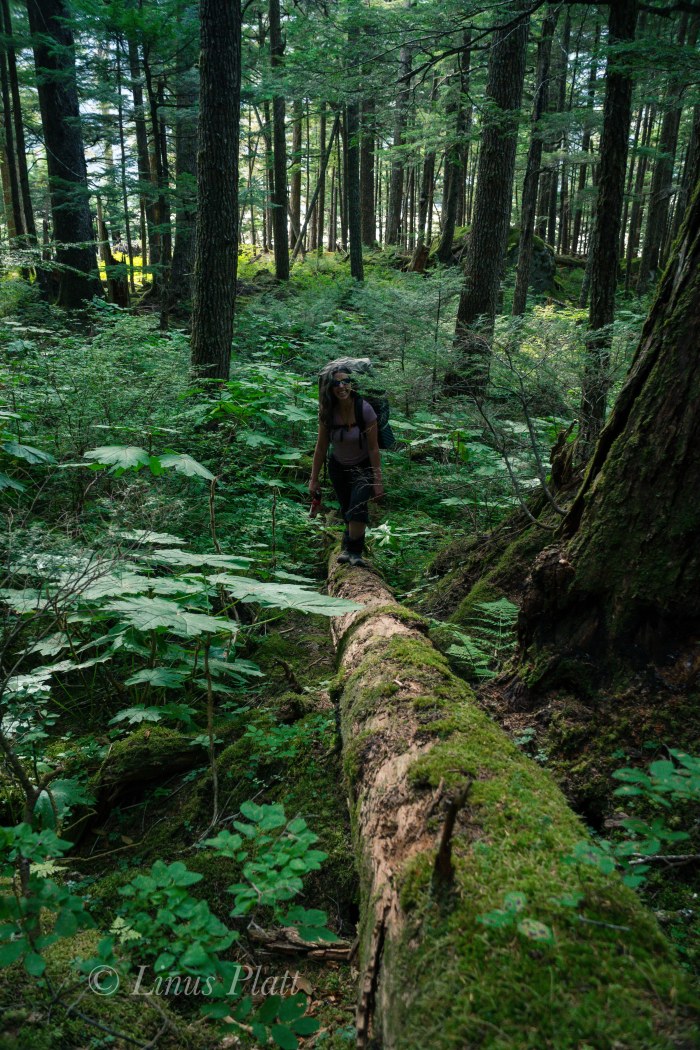 Wolverine Lake Attempt-4