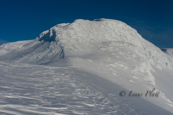 Ripinski Overnighter 4-4-5-20-4